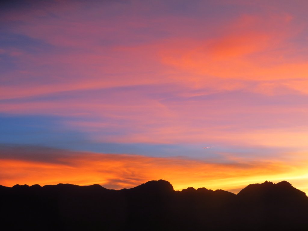 武陵四秀(2015四缺喀_2019喀桃)_689609