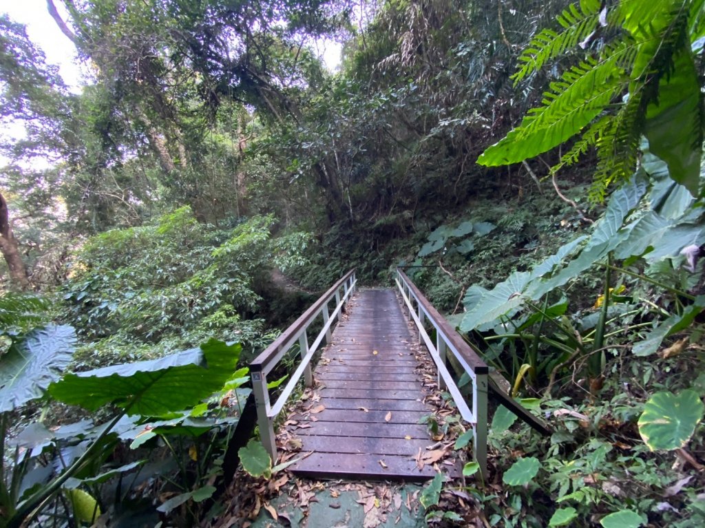 唐麻丹山-松鶴上三角點O型回松鶴_2378358