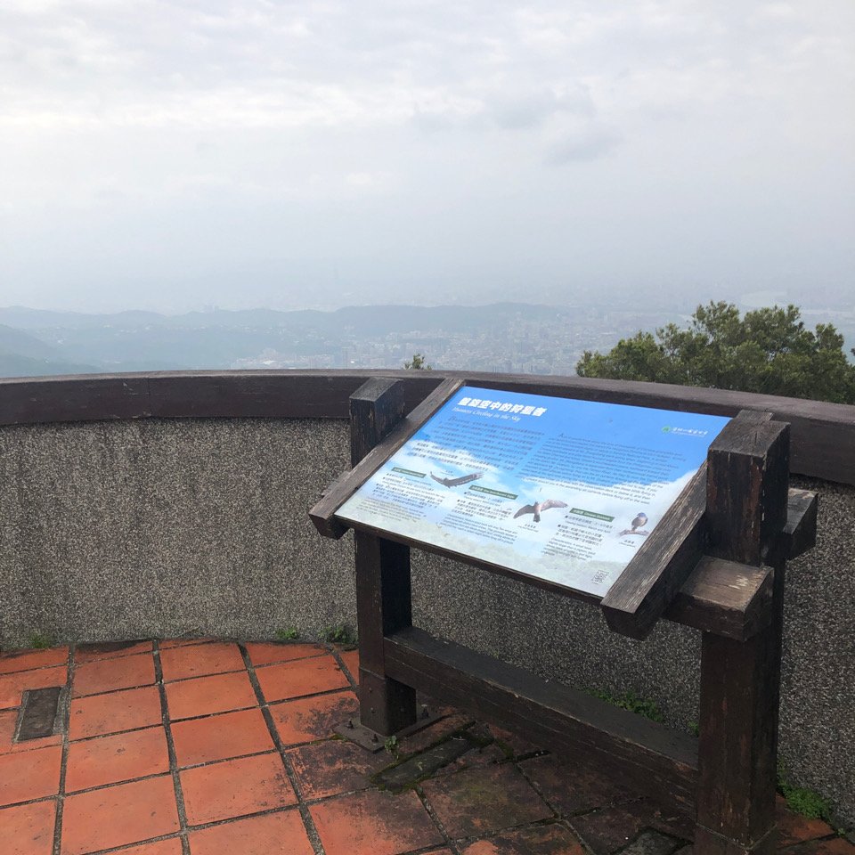 中正山步道封面圖