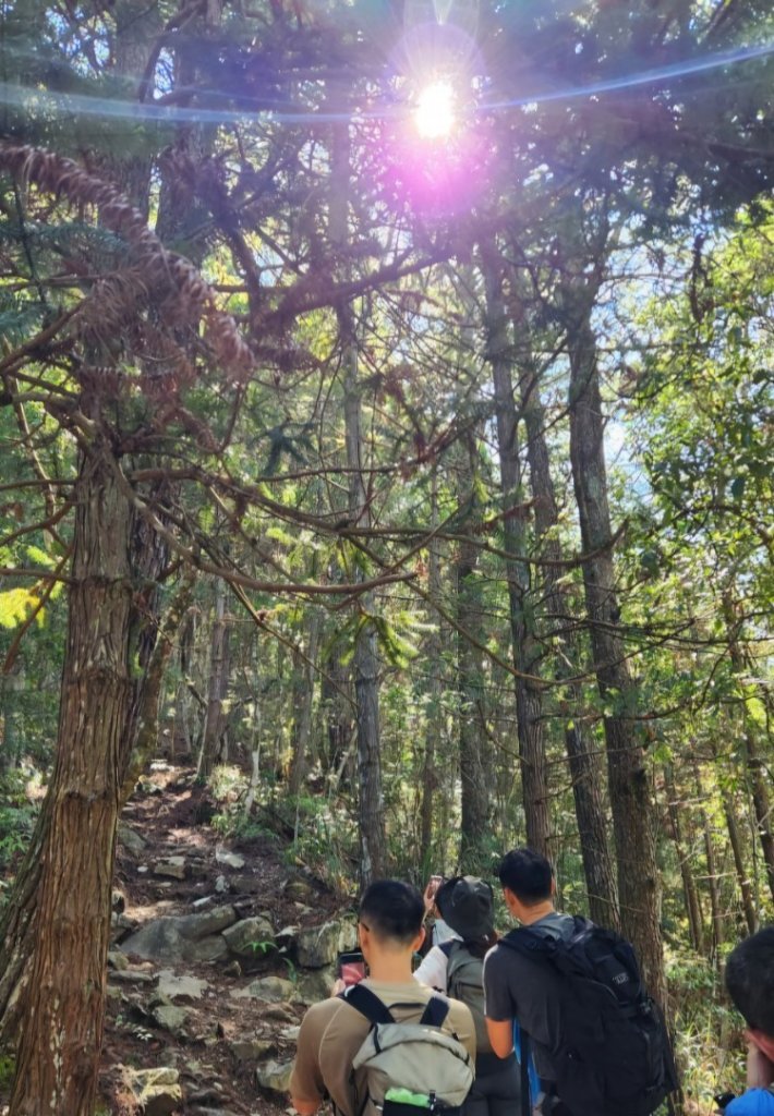 【中級山】五星級步道，谷關七雄馬崙山（八壯士進，斯可巴出）_2744943