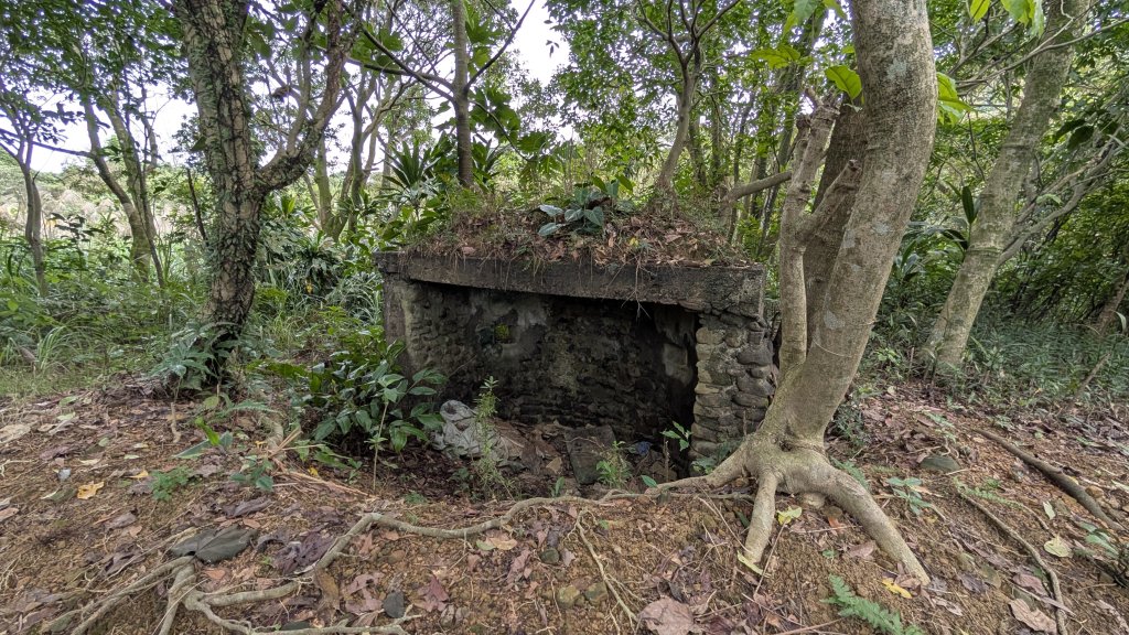 114.12.20劉銘傳隧道-獅球嶺北峰-獅球嶺東砲台山-獅球嶺池-獅球嶺砲台山之旅_2966722