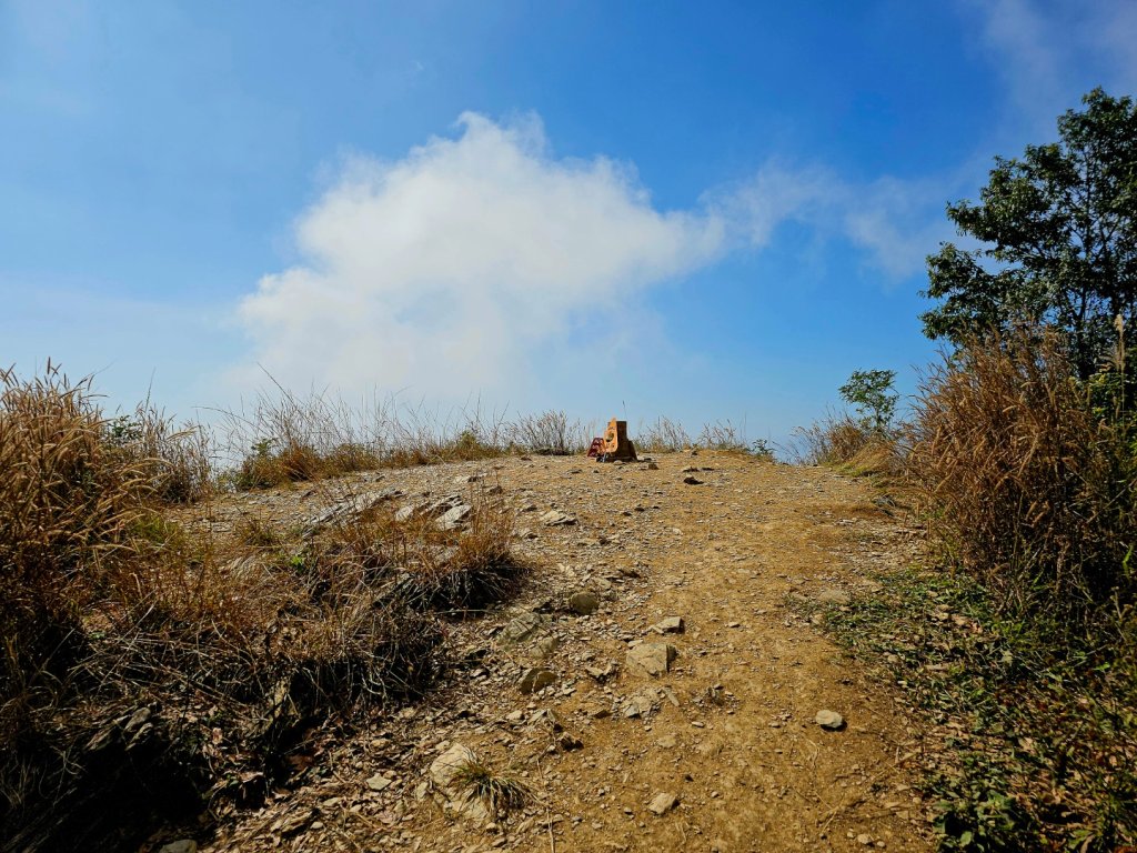 德文山步道(觀望山)-2024屏步青雲 尋寶任務_2681822