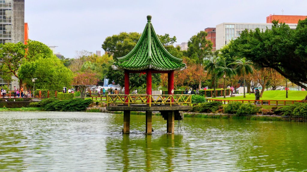 大安公園,台大校園_3012124
