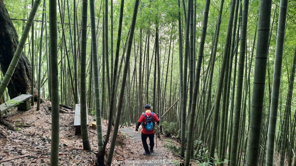 《雲林》望好望角｜石壁山嘉南雲峰步道(中側登山口）20250607_2805323