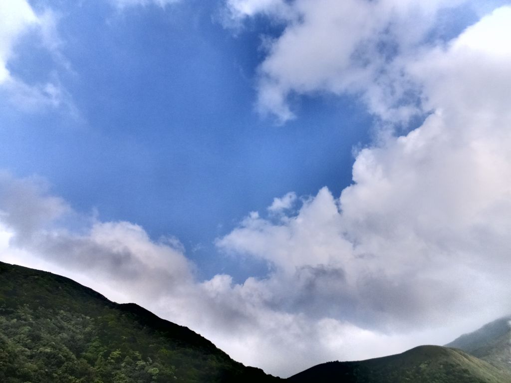 2018竹子湖海芋季--楓紅芋白萬象新_304599