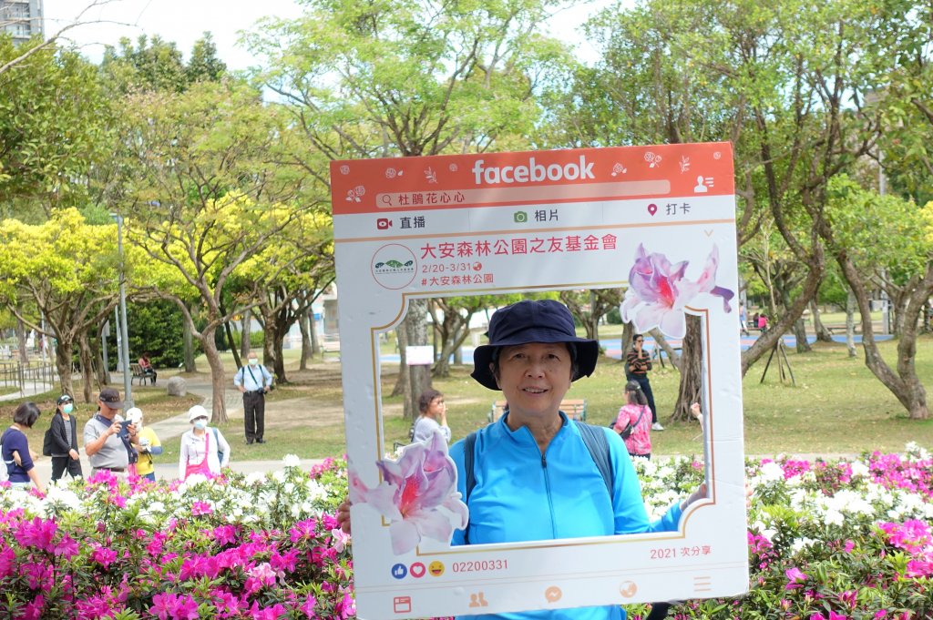 大安森林公園杜鵑花季_1286052