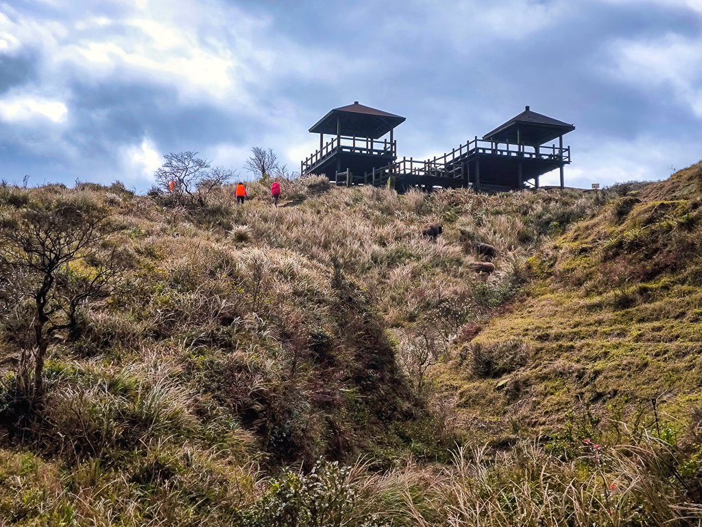 2025-01-19 大里天公廟~埡口封面圖