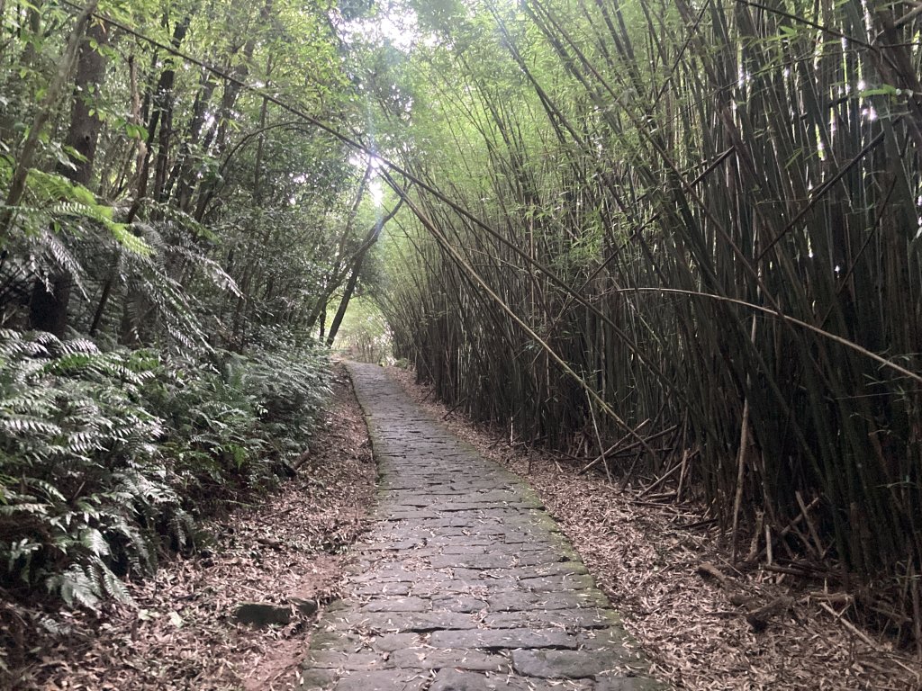 大崙頭山_2532690