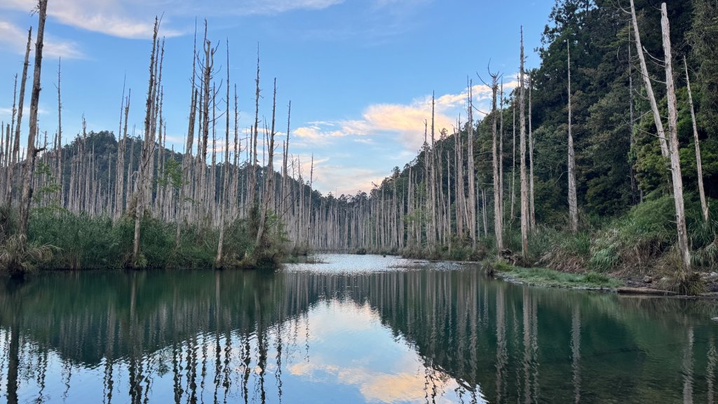 水漾森林+瞑月神木_2768823
