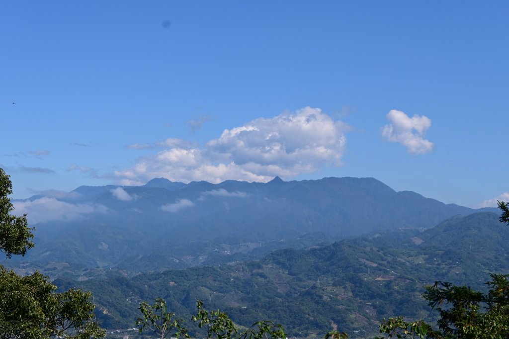 110.11.19 大坑五號、五之一號步道_1519346