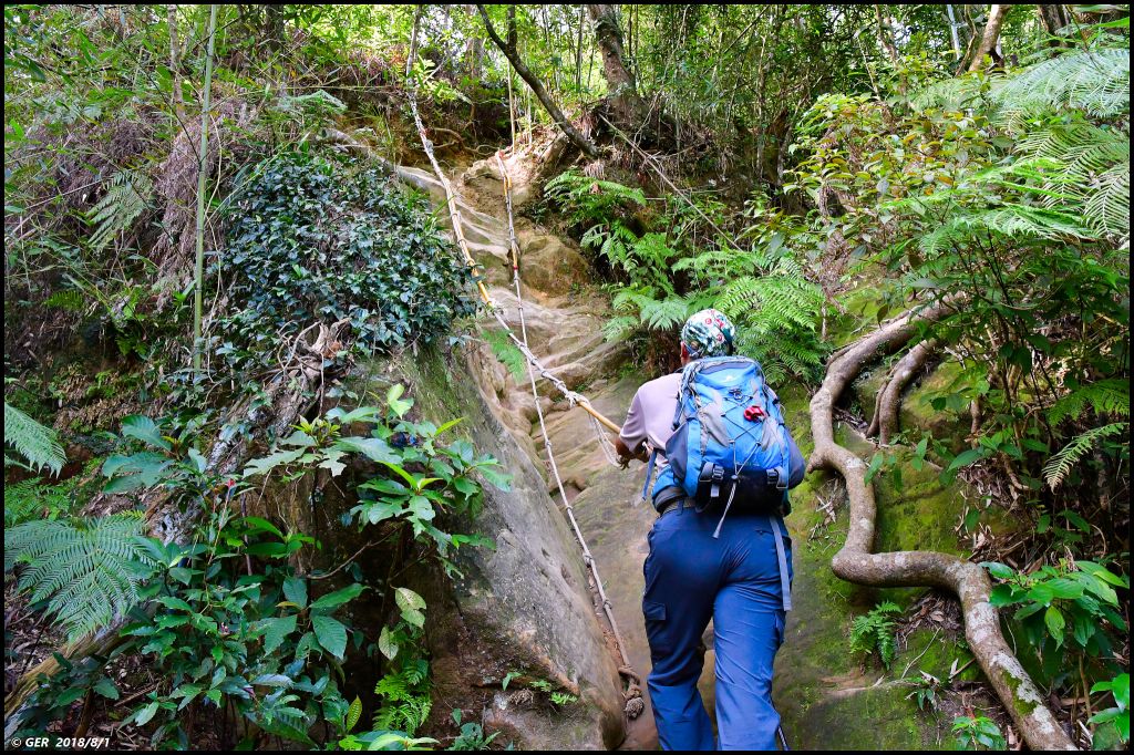 直擊 五寮尖山 の 仲夏岩場_376661