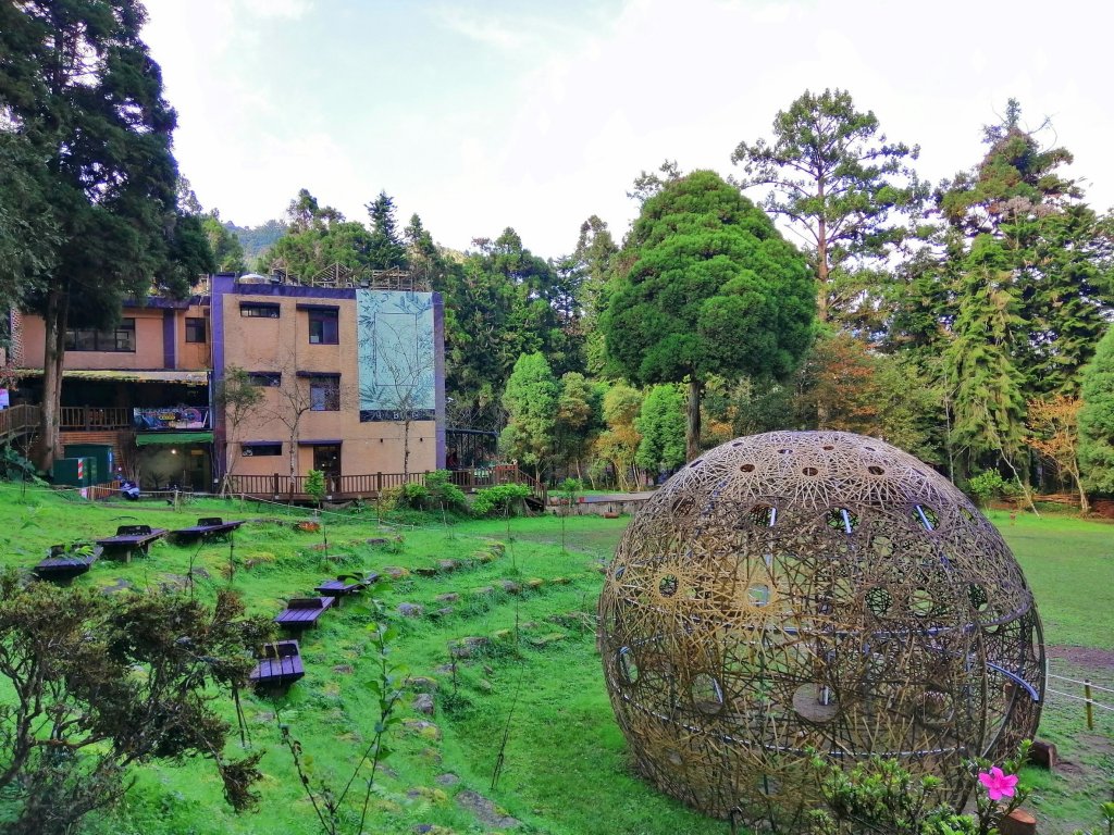 森林綠意滿滿芬多精。 溪頭森林遊樂區_770550