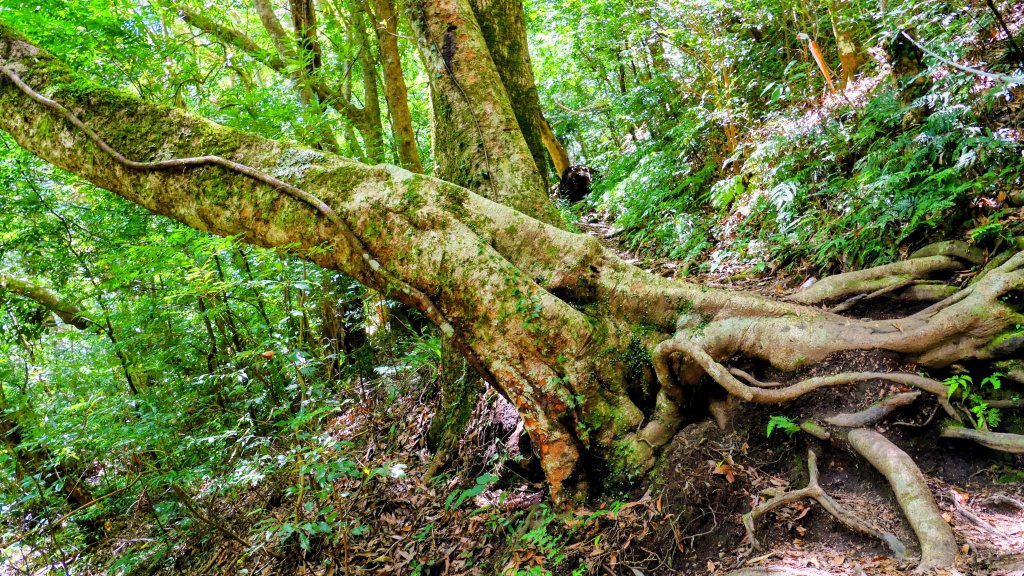 李棟山莊_2882497