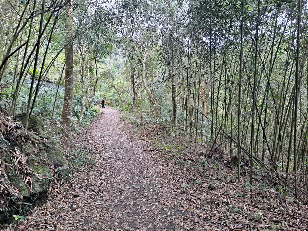 馬那邦山(親子團)_1963800