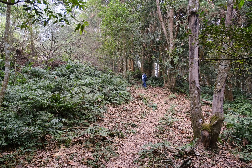 獵人古道_2987151