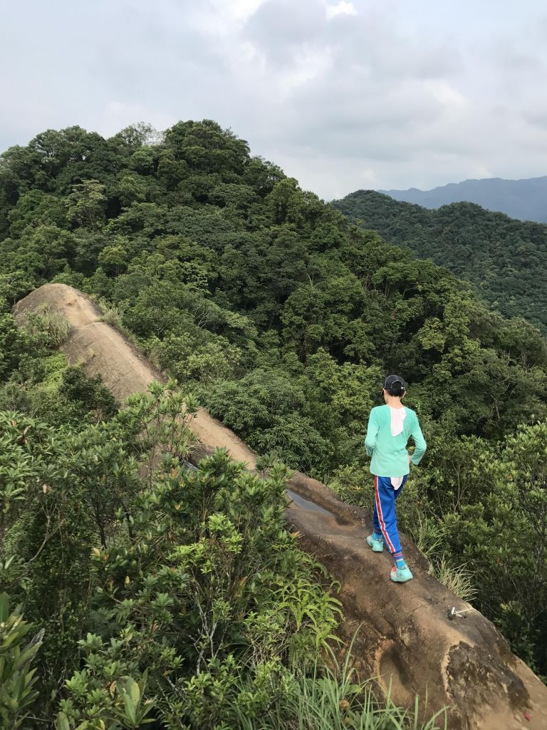 皇帝殿東峰_139056