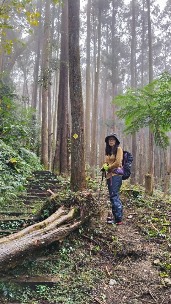 神阿縱走~台灣難抵極~大塔山_2971398