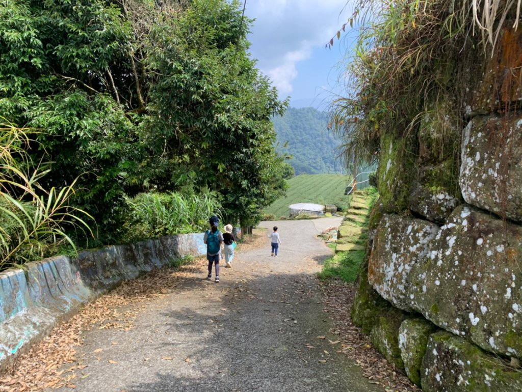 隙頂雲頂步道_1117511