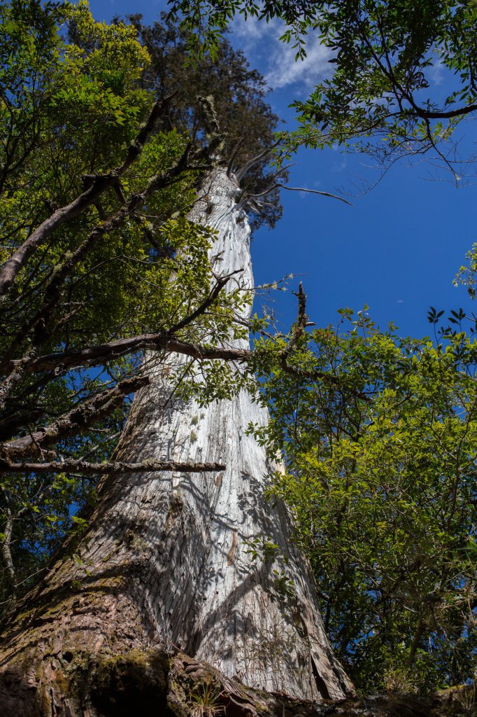 【高雄】多尾蘭山+玉穗山_870620