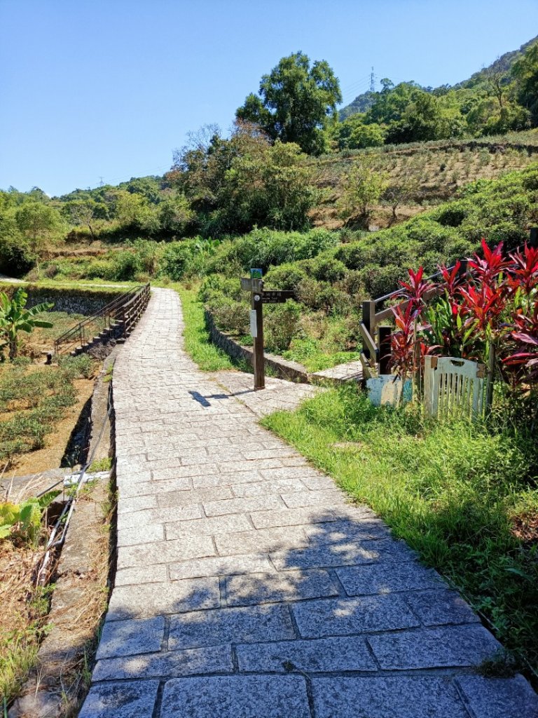 大縱走第七段-茶香縱走_1474563