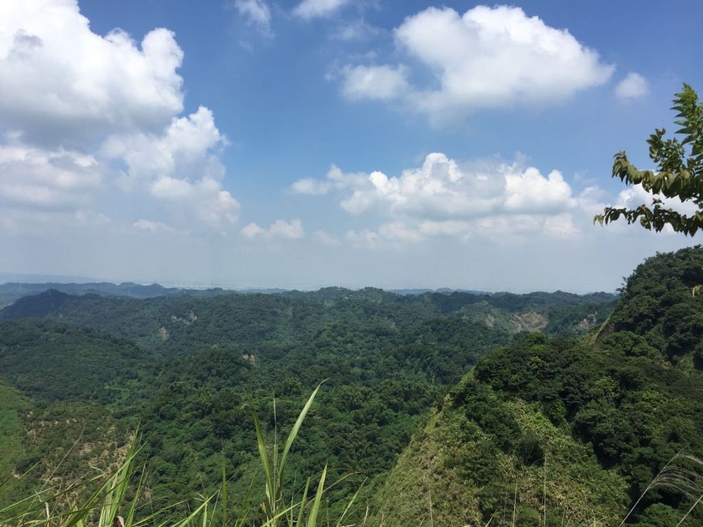 九九峰森林步道_396645