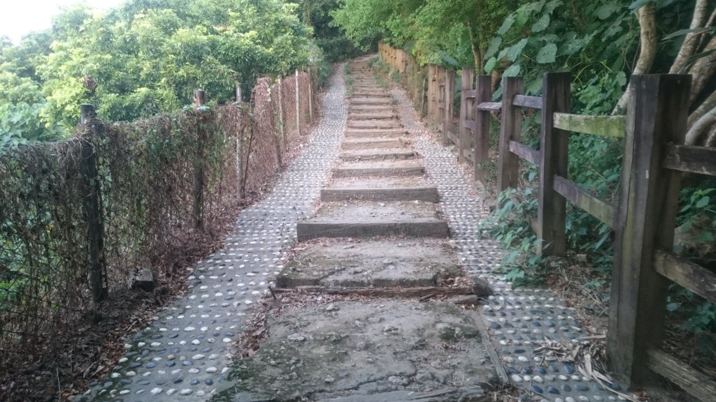 20181028大崗山步道O形環線_446815