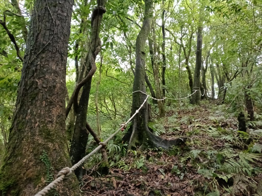 平溪區三功大厝+番子坑山+千階嶺步道O型_2781135