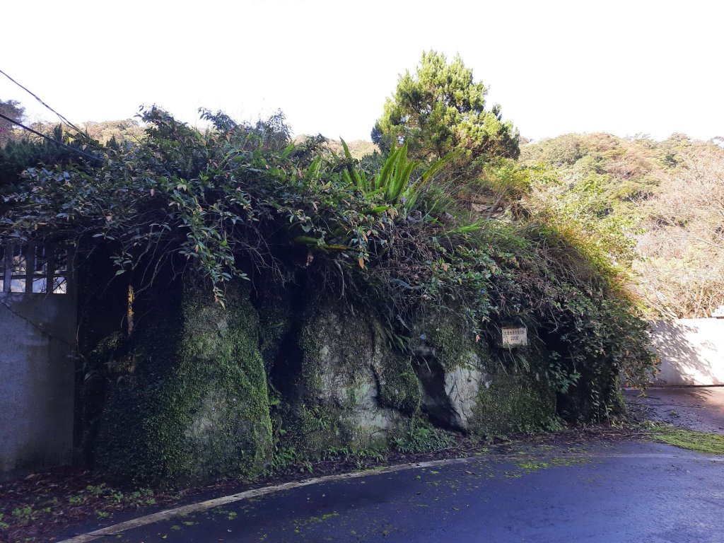 20230212 新店獅仔頭山（小百岳）_2028625