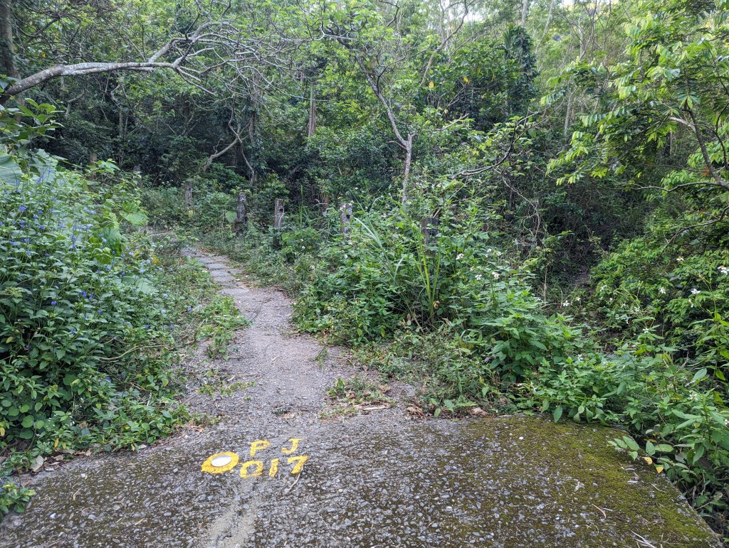 女仍山(小百岳#79)_1636563