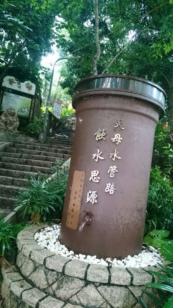 天母水管路步道～台灣獼猴不期而遇_315843