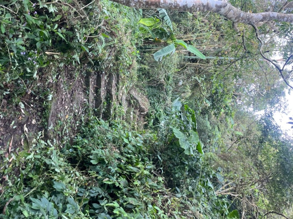 雲嘉五連峰_2735852