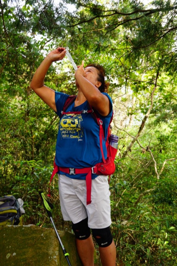 埔里彩蝶瀑布之國姓鄉眉冷山及糯米橋_1466196