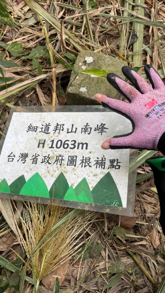 苗栗/馬那細道邦山-烏嘎彥竹林-水雲三星-鳥嘴山_2926997