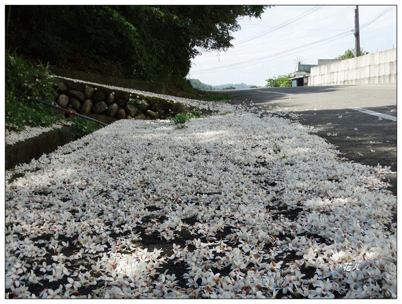 雙峰山步道_1364187