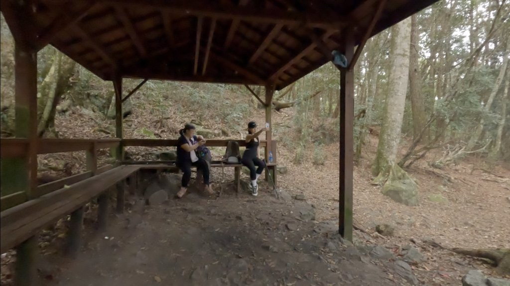 全家一起爬馬崙山順便上馬白稜線藏水 2024.3.28_2468347