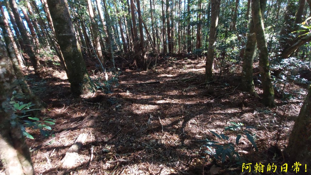 高島縱走_2686883