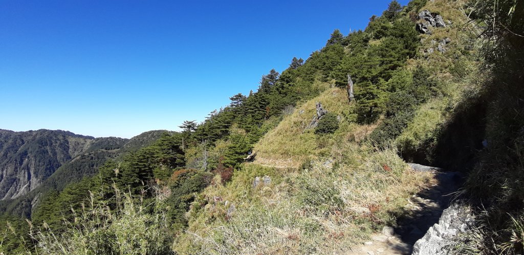 玉山前四峰之旅_869259