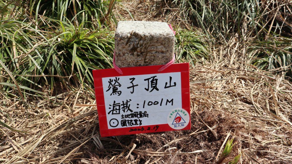 鶯子嶺山登山健行趣(效山)_2070471