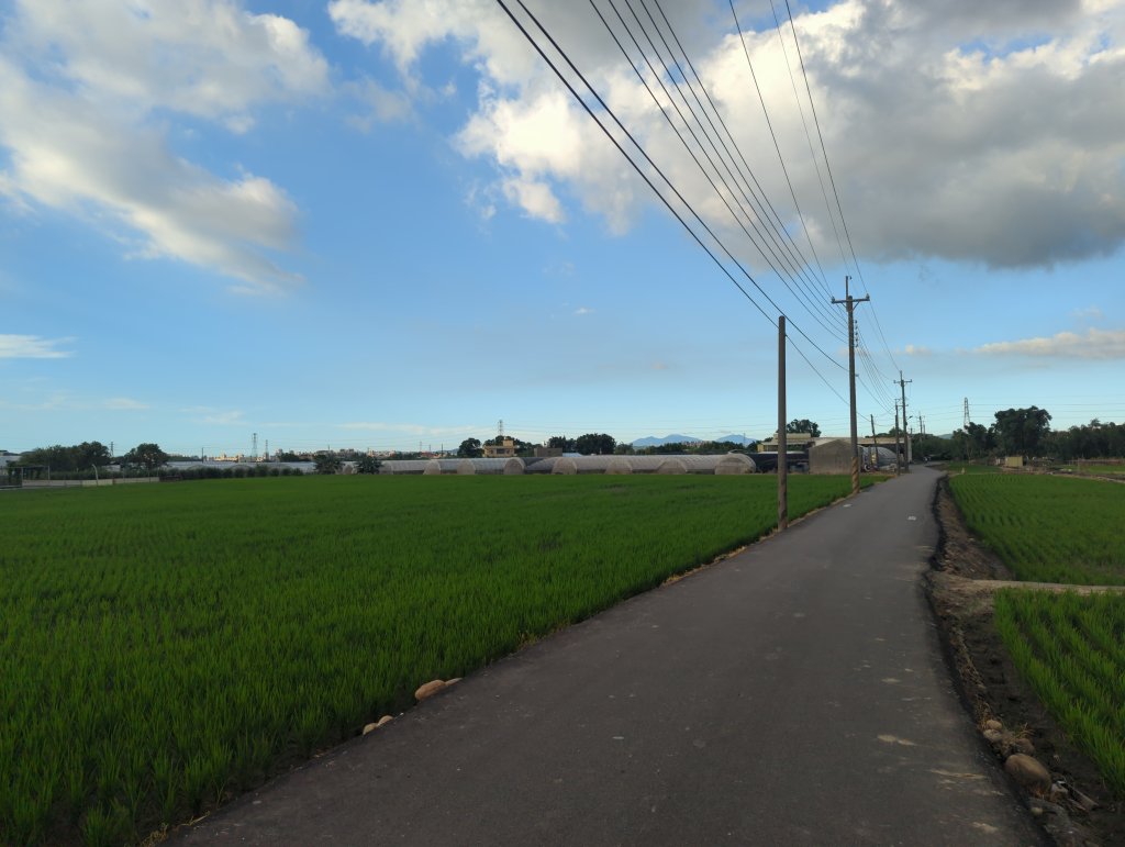 2025.08.24－霄裡好風光：霄裡~忠貞新村_2868626