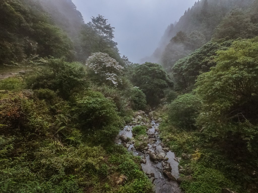 20200614-[嘉義] 自忠山，東水山。_1635844