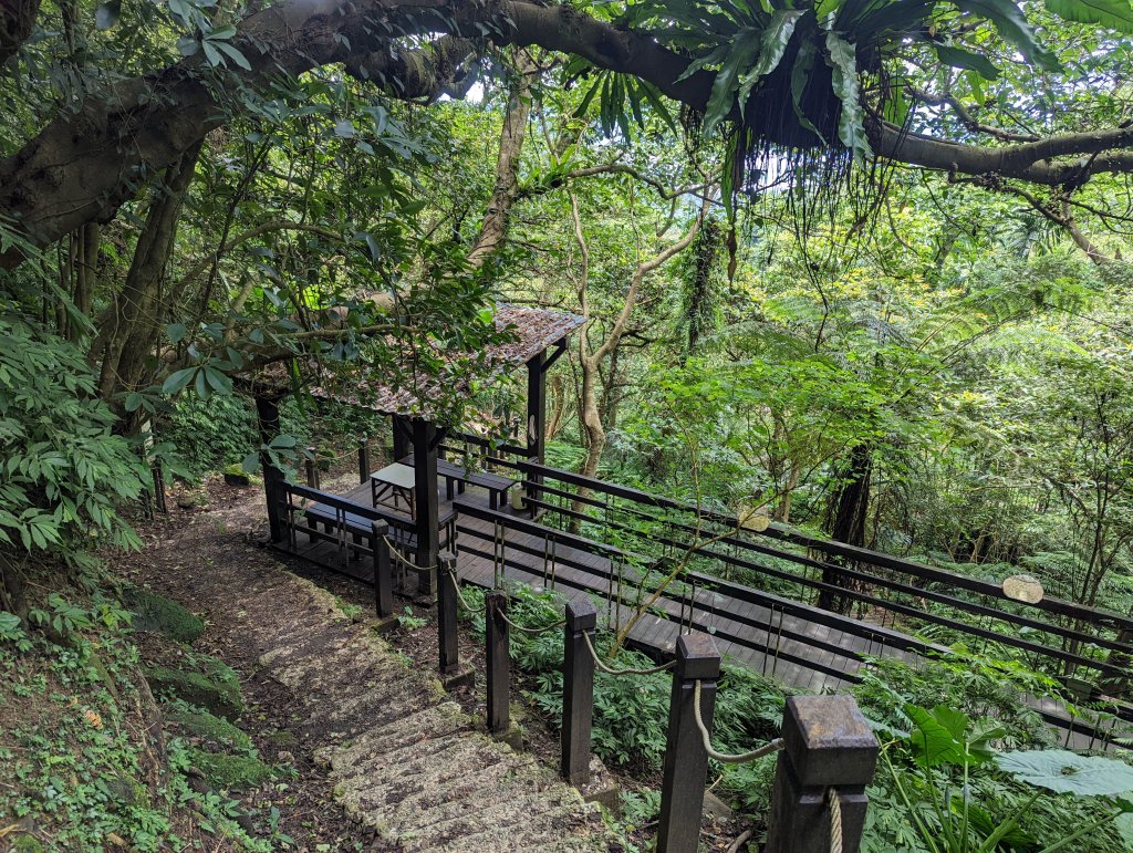 天上山：朝山步道、桐花公園、天上山、賞螢步道_1737644