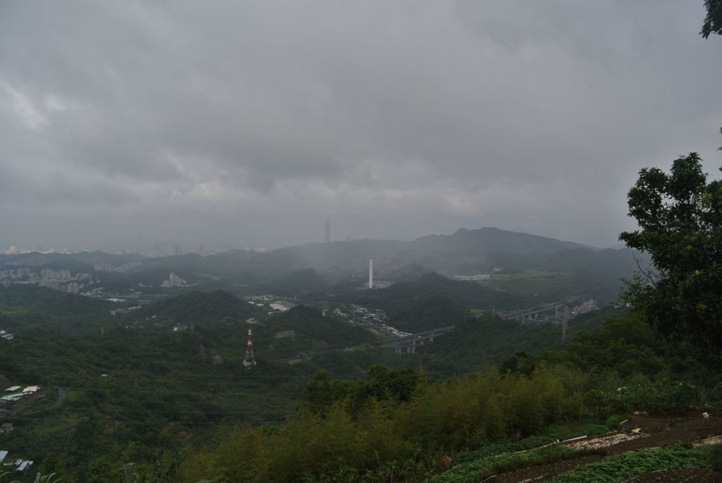 炮子崙步道+茶山步道_409977