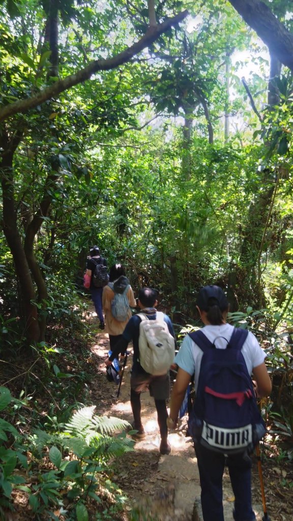 年輕人爬山趣～臺北大縱走第五段，劍潭至碧山巖！_2646073