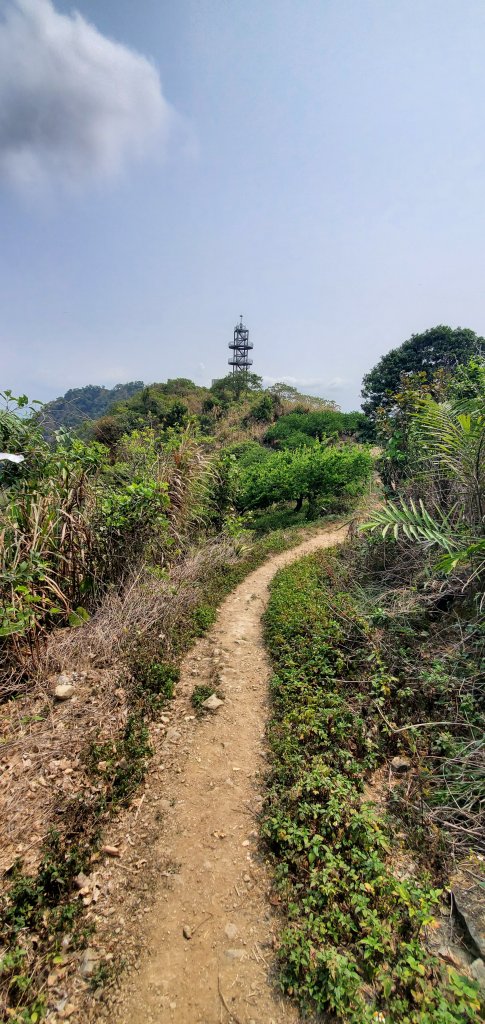 2023-04-15刣牛湖山登山步道_2114700