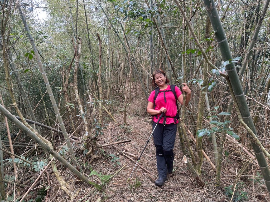 阿拔泉山、觀音石山、紅南坑山、獨立山_2650791
