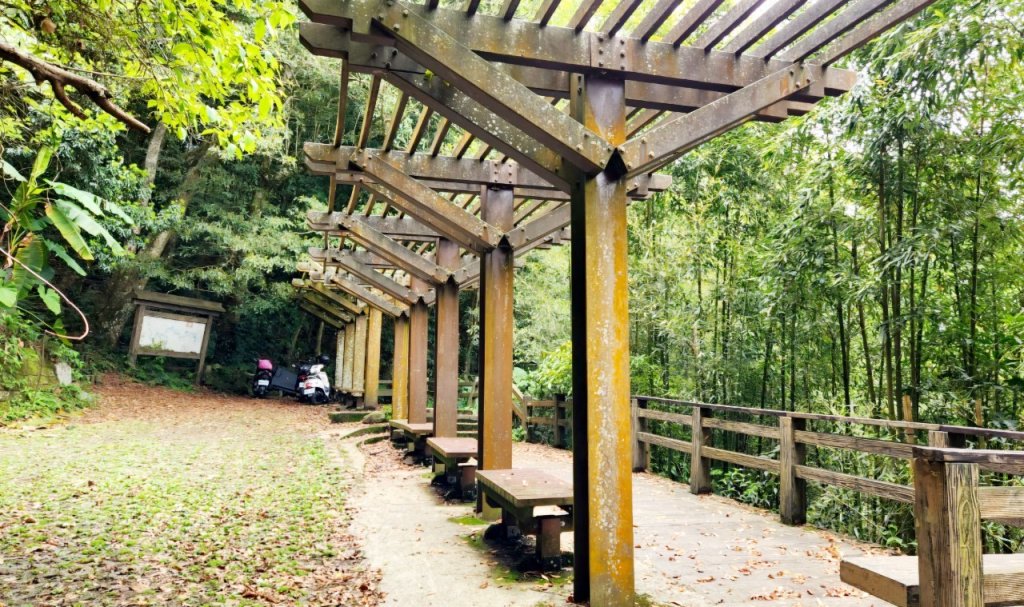 【中級山縱走】水雲三星，橫龍山，騰龍山，橫龍古道_2742954