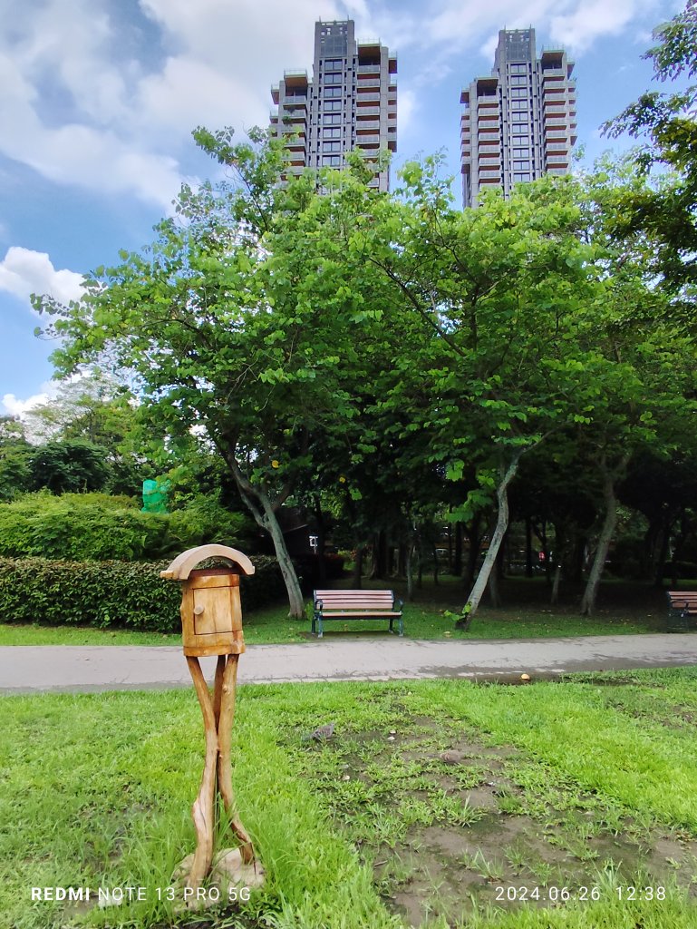 大安森林公園【走路趣尋寶】【臺北健走趣】_2536179