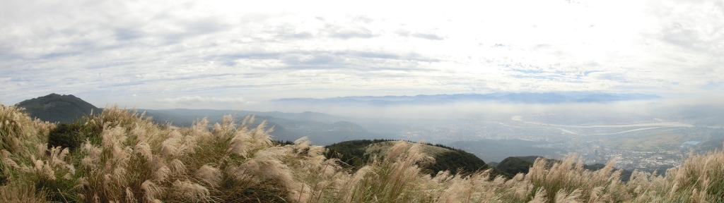 大屯山西峰．南峰．大屯坪_94816