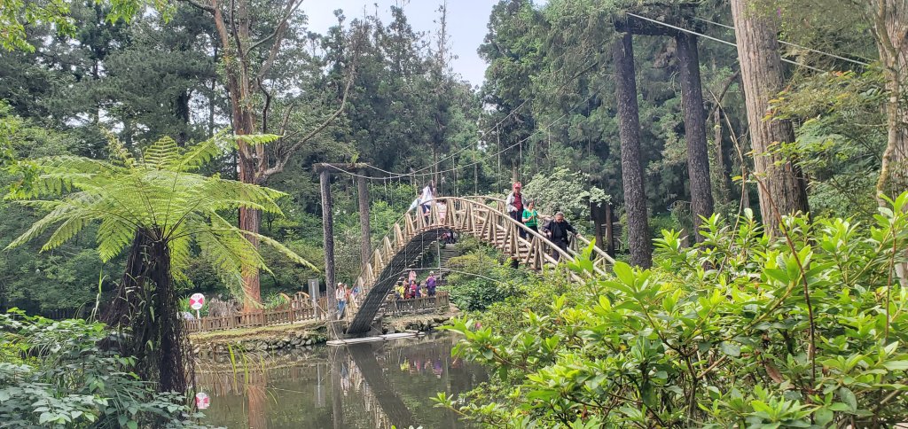 2024-05-19溪頭自然教育園區_2507983