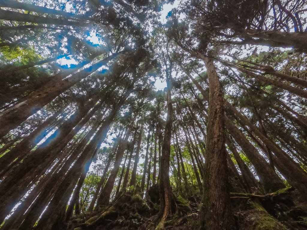 20200614-[嘉義] 自忠山，東水山。_1635825